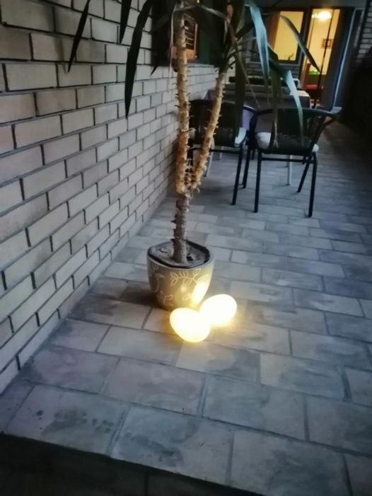 Citadela Hotel Sombor Buitenkant foto